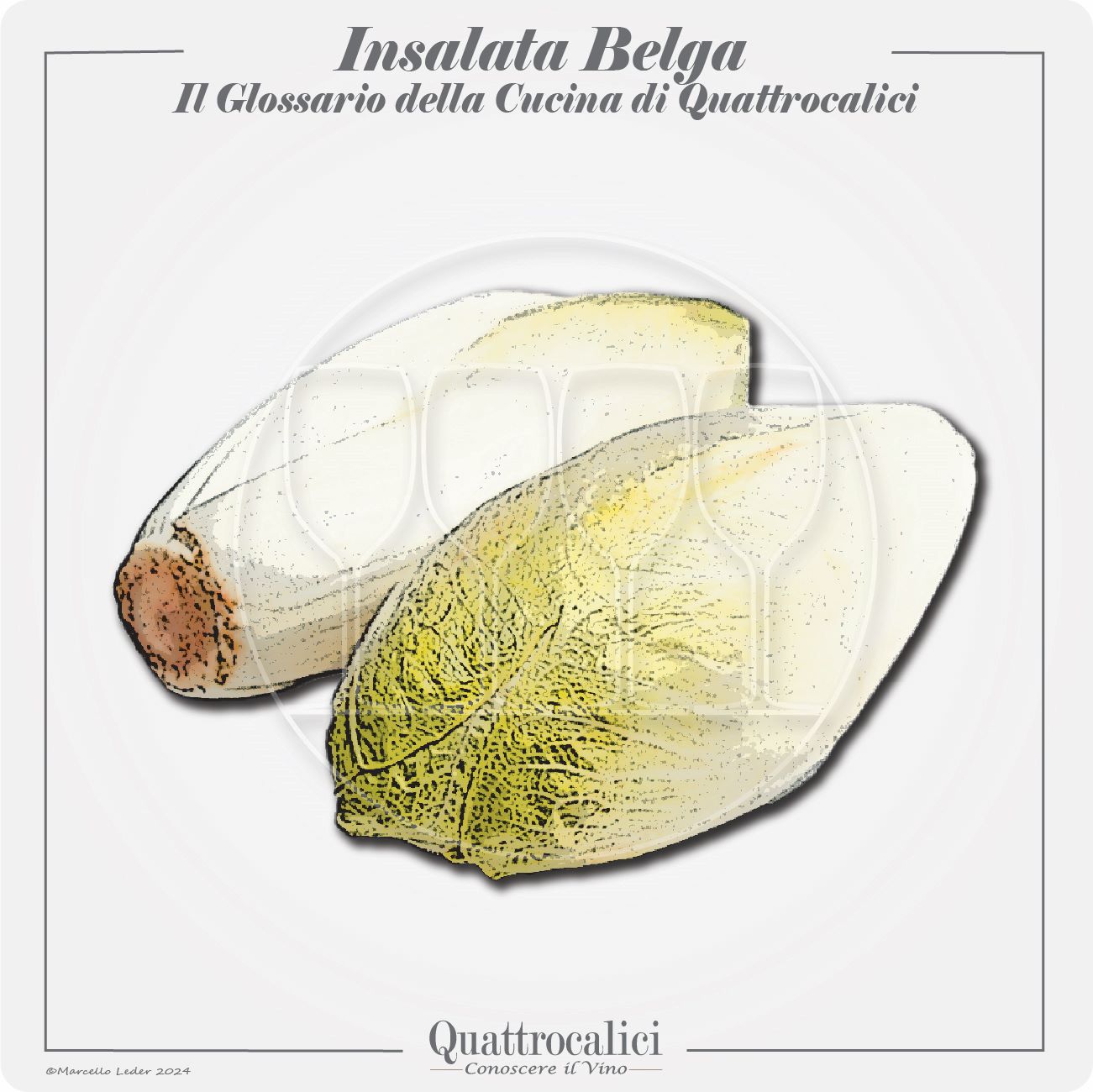 L'insalata belga in cucina e con i vini