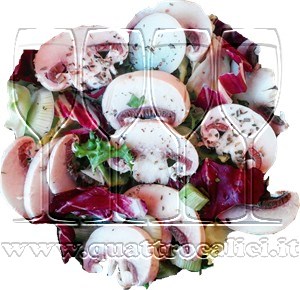 Insalata di trevisana ai funghi