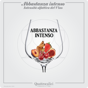 vino abbastanza intenso al naso