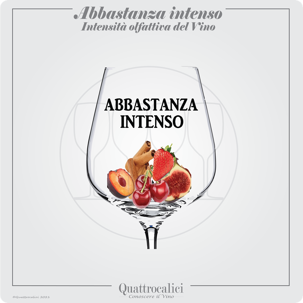 vino abbastanza intenso al naso