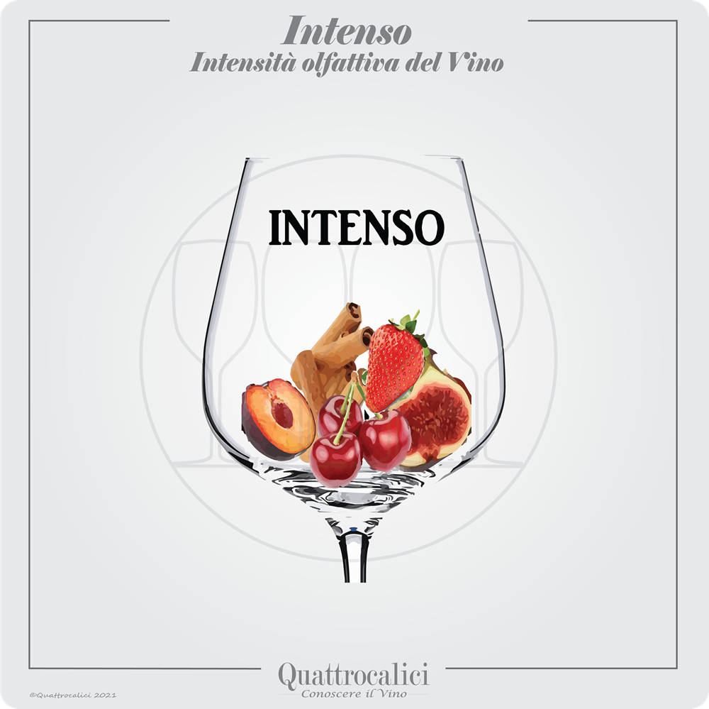 vino intenso al naso