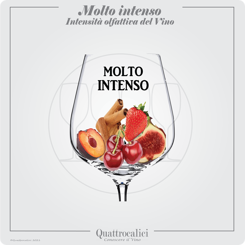 vino molto intenso al naso