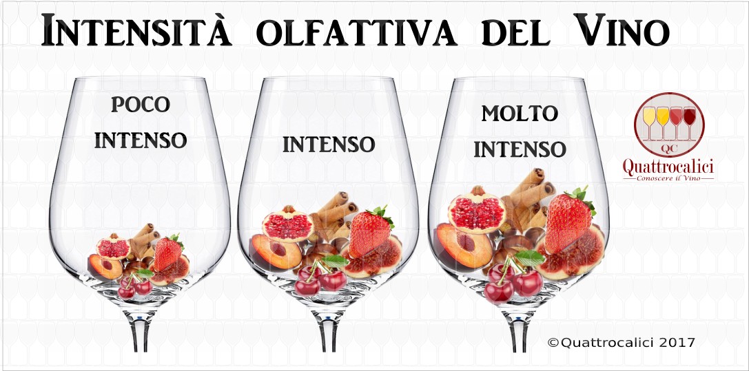 Intensità olfattiva del vino