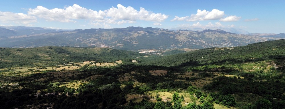 provincia isernia vino