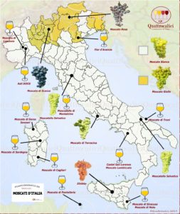 Moscato - Cartina dei Moscati d'Italia