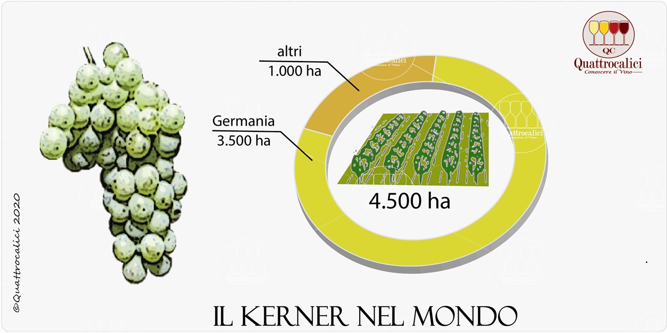 kerner nel mondo