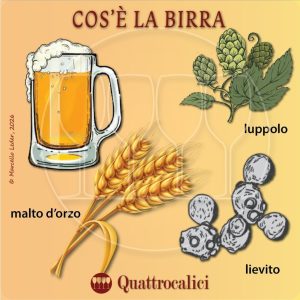 Cos'รจ la birra