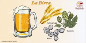 Cos'è la birra