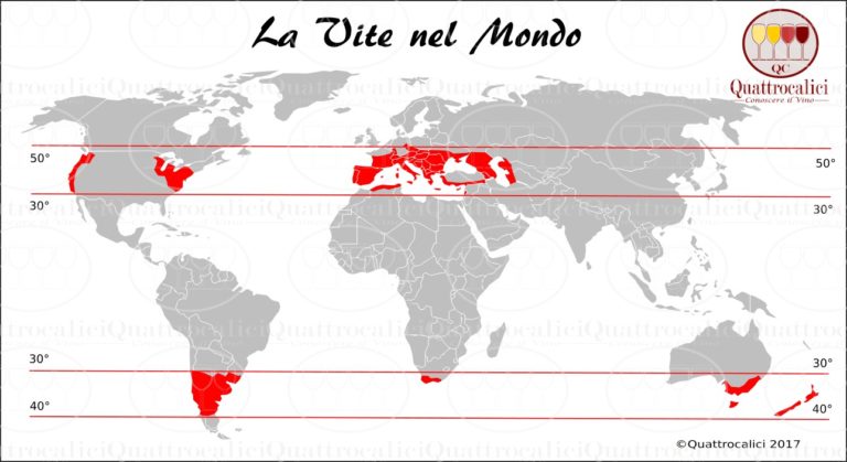 Zone di coltivazione della vite nel mondo