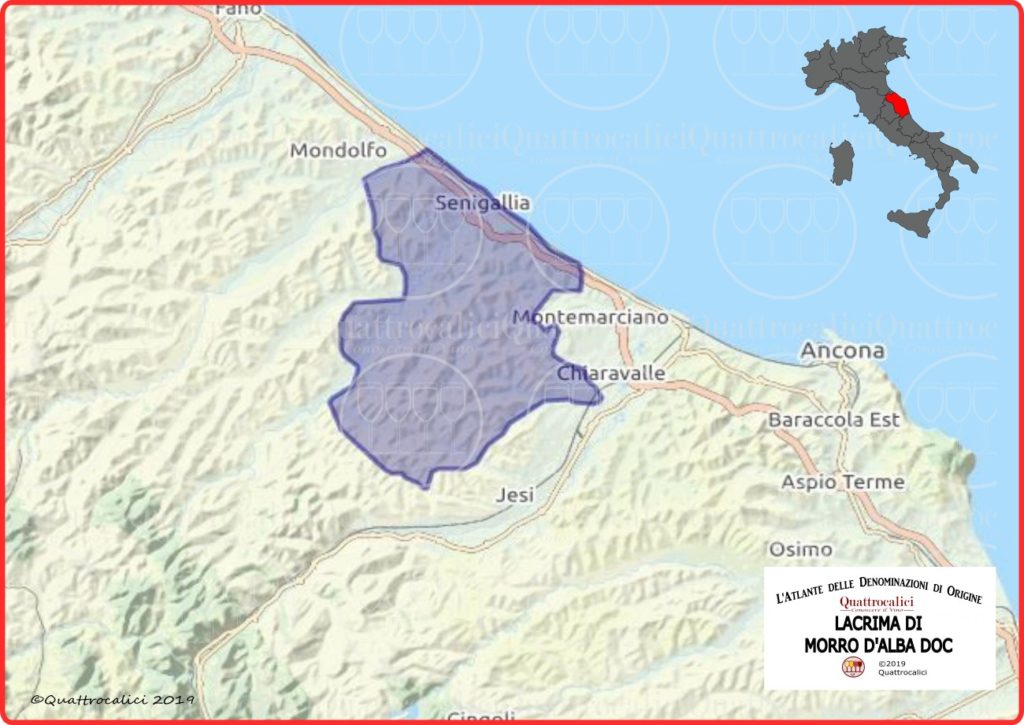 Cartina Lacrima di Morro d'Alba DOC