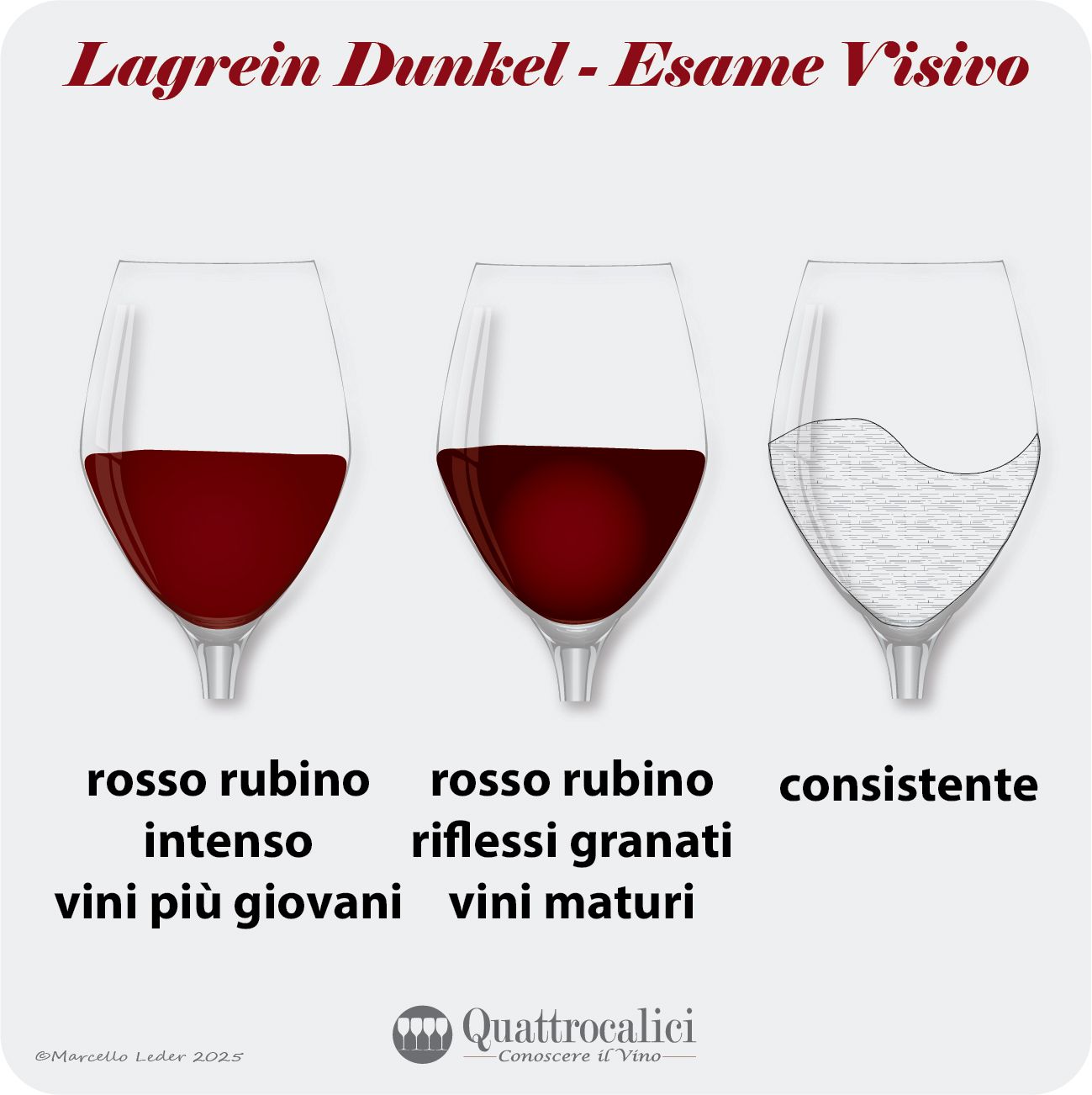 L'esame visivo dei vini Lagrein Dunkel