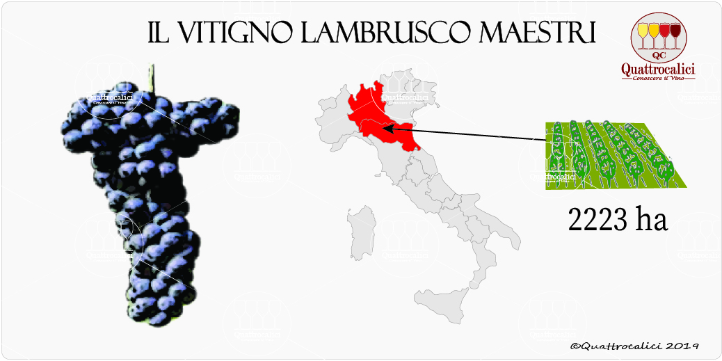 vitigno lambrusco maestri