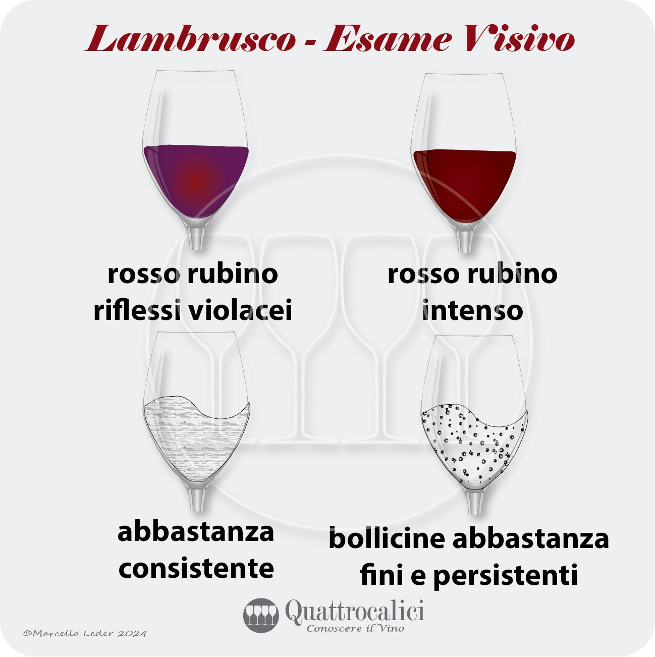 L'esame visivo dei vini Lambrusco