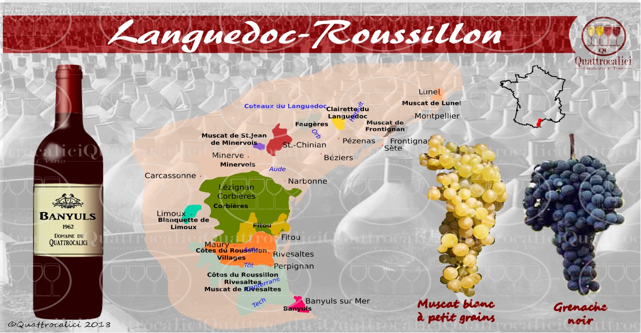 Languedoc-Roussillon - I vini