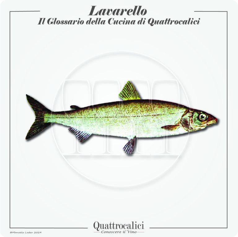 il lavarello in cucina e con il vino
