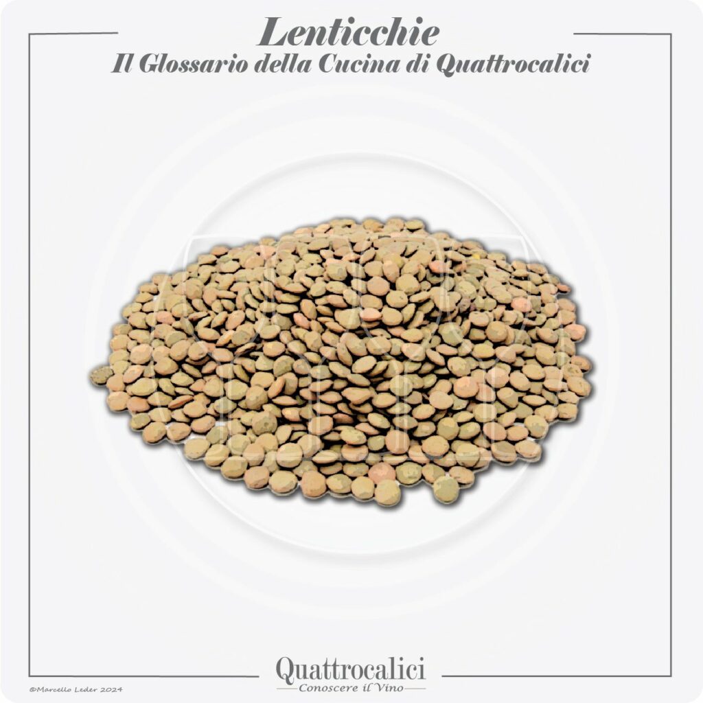 le lenticchie in cucina e con i vini