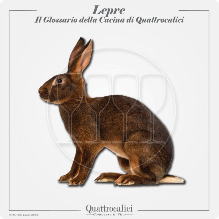 la lepre in cucina e con il vino