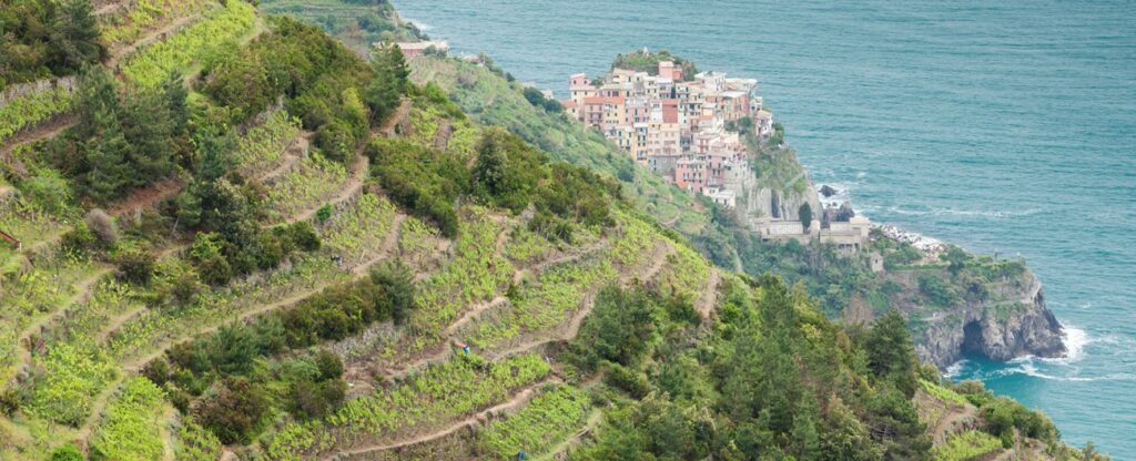 Il vino in liguria