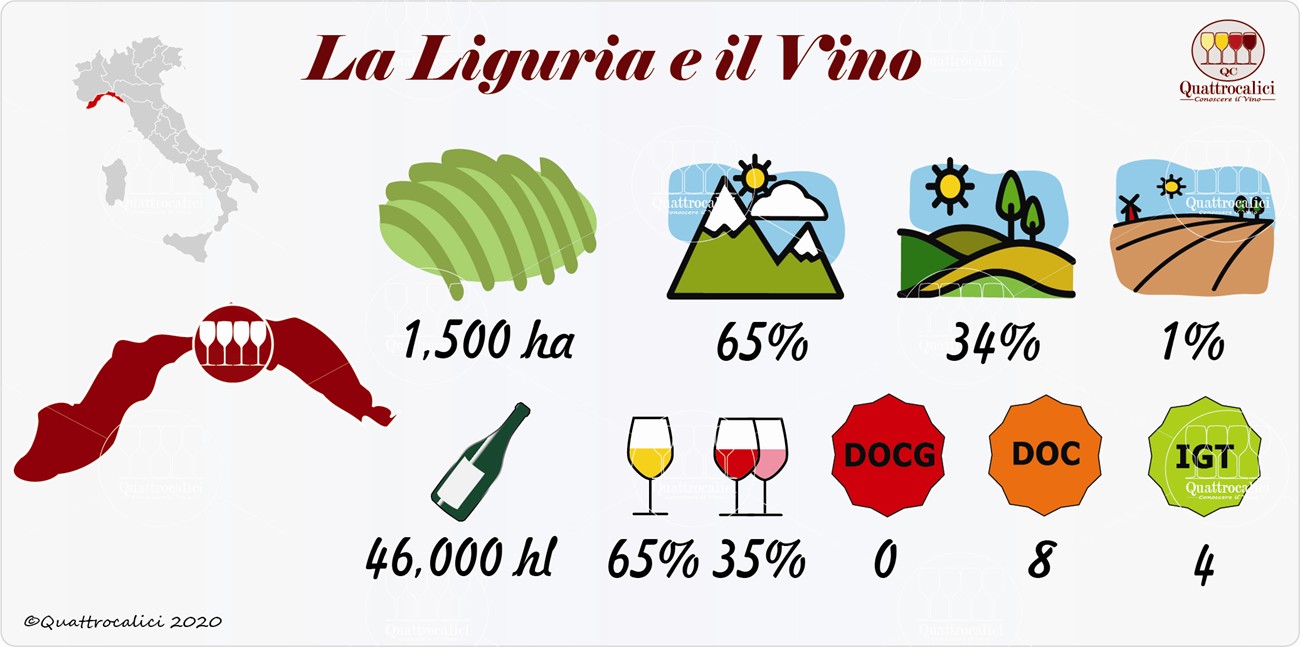 vino e vini in liguria