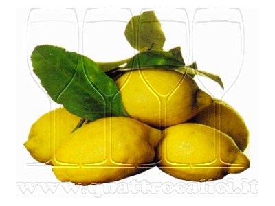 Limone Costa d’Amalfi IGP