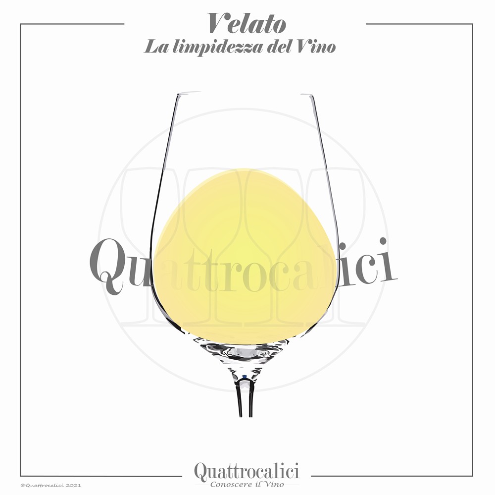 Vino velato