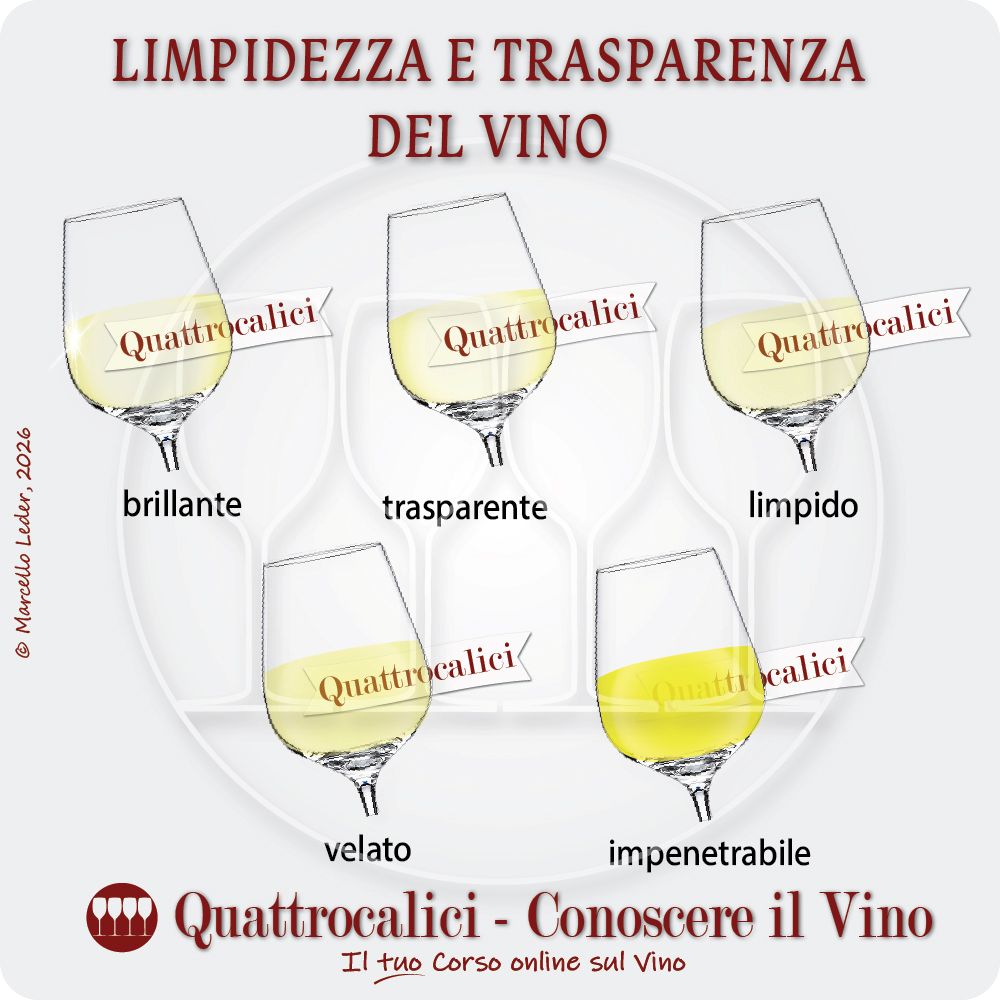 La limpidezza e la trasparenza del vino