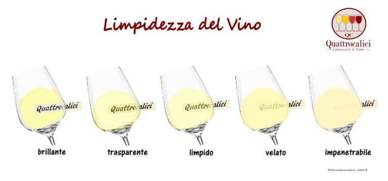 limpidezza del vino