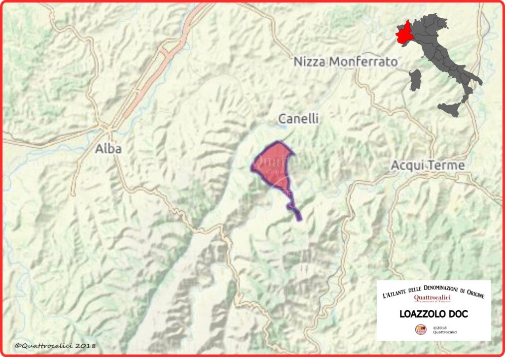 loazzolo-doc denominazione