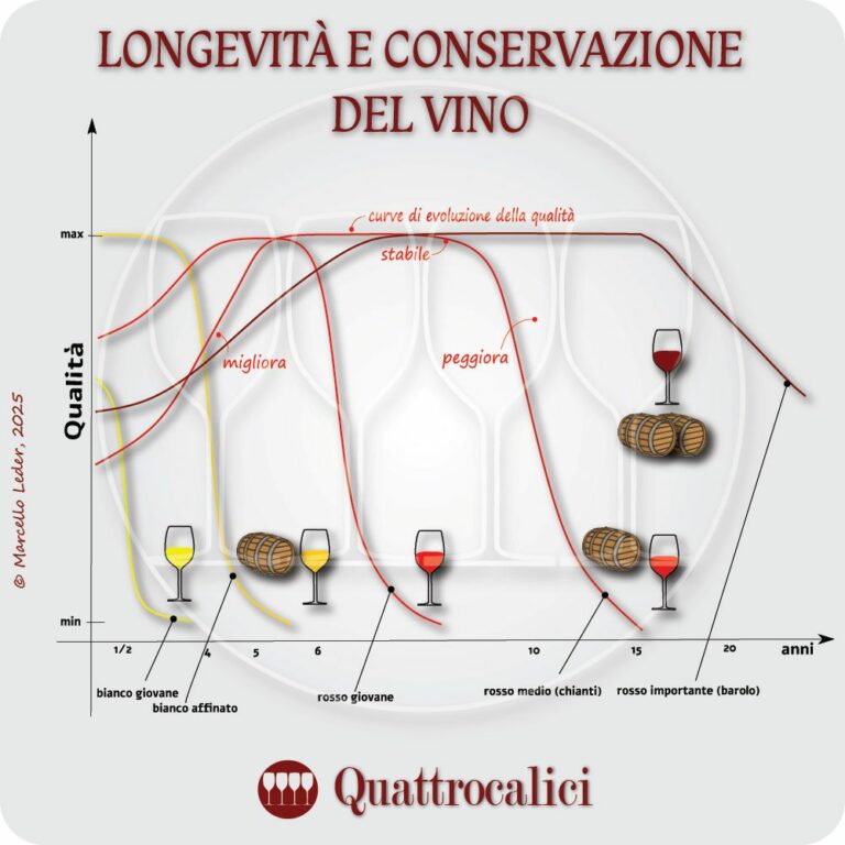 Conservazione e longevità del vino