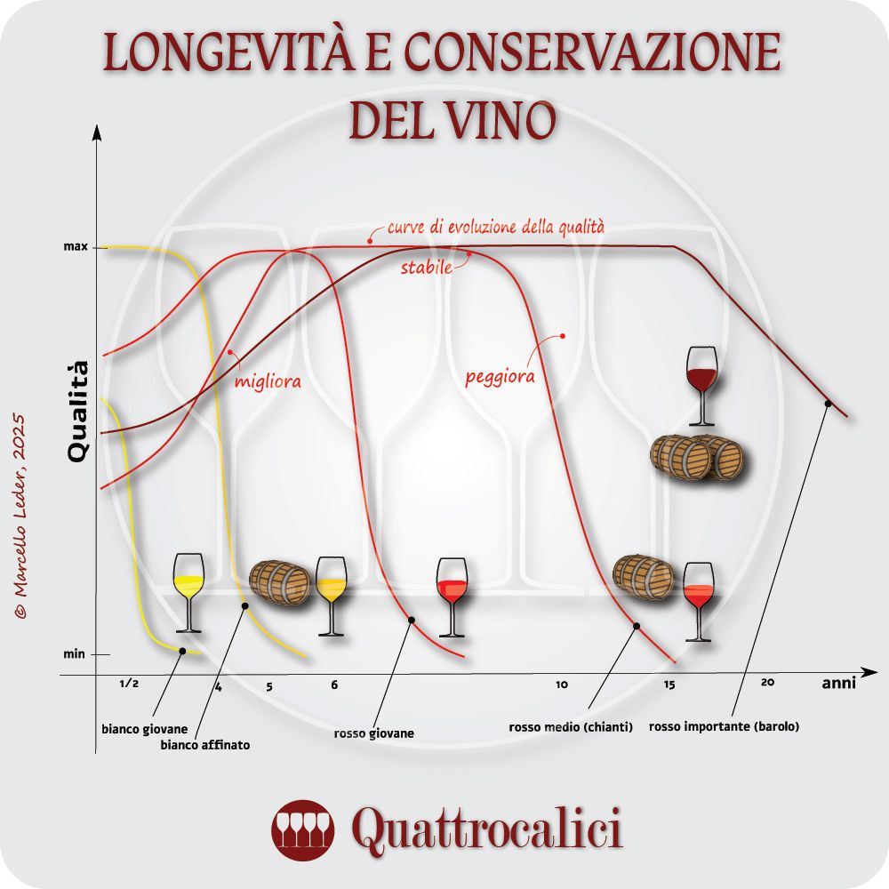 Conservazione e longevità del vino