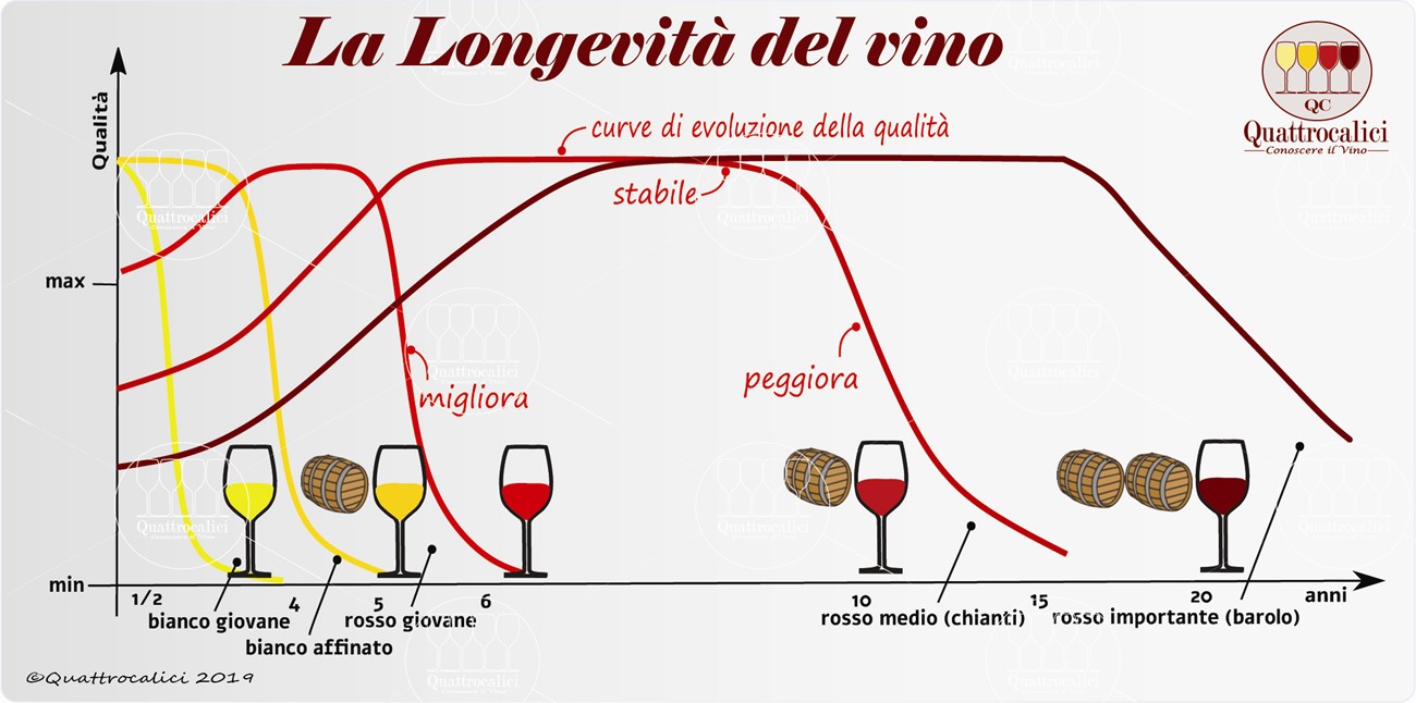 longevità del vino