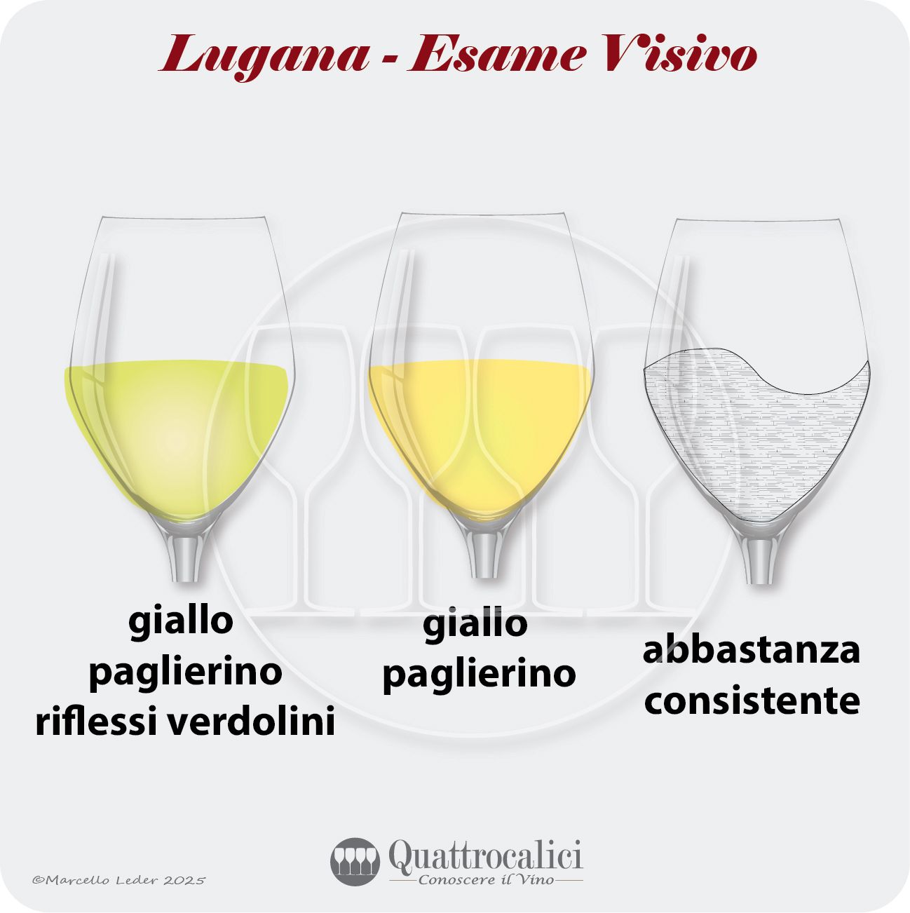 L'esame visivo dei vini Lugana