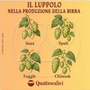 i diversi tipi di luppolo e il loro ruolo nella produzione della birra