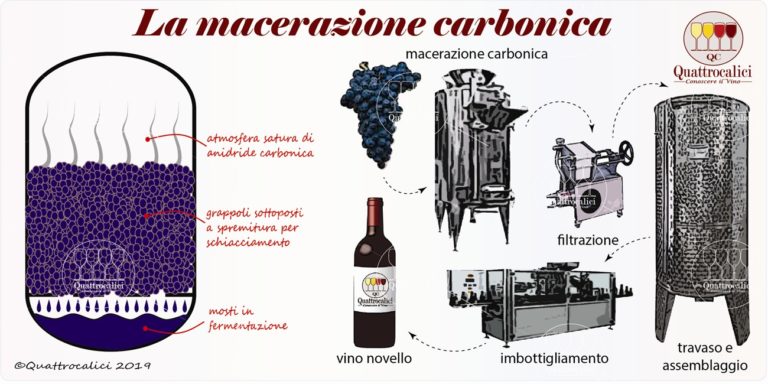 macerazione carbonica e vino novello