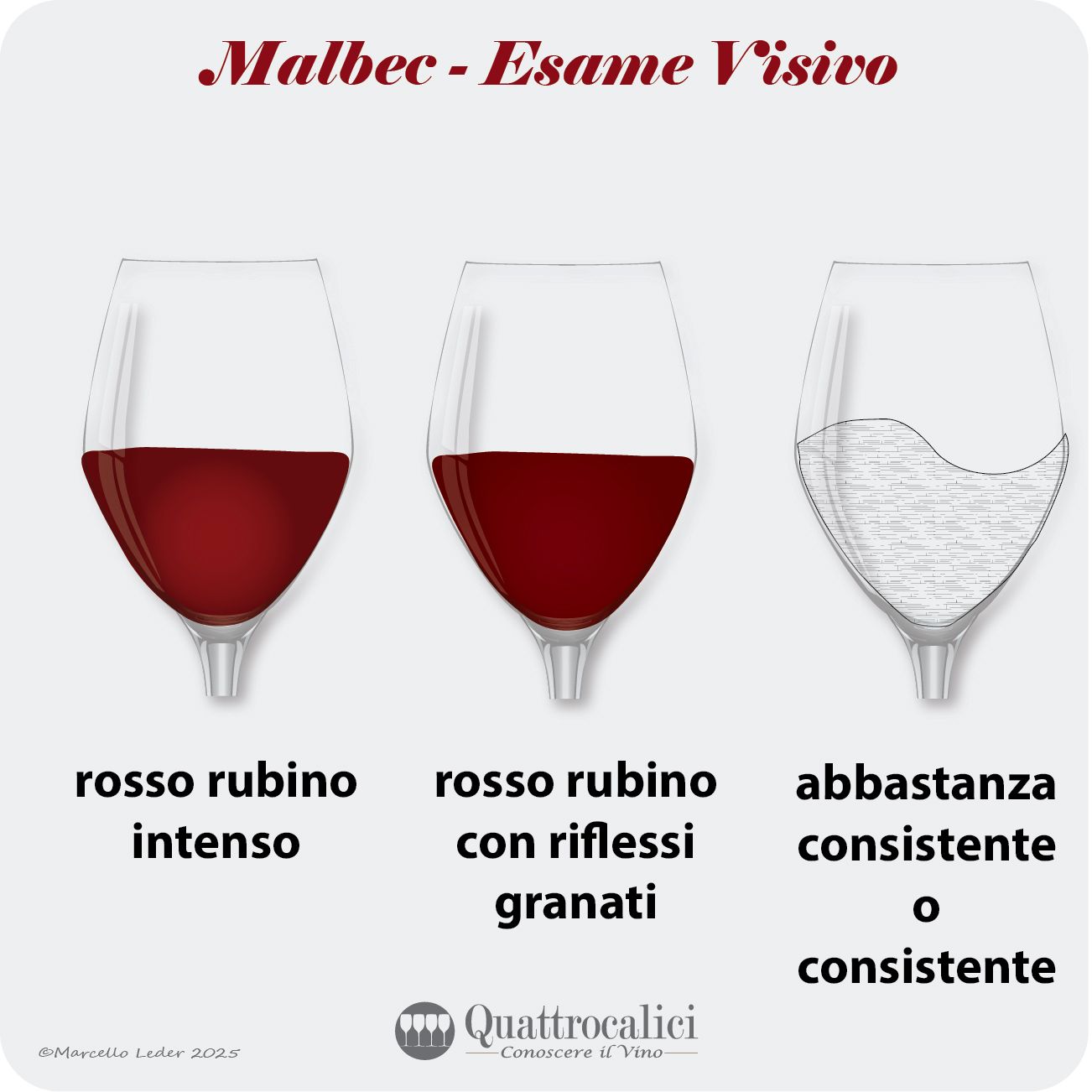 L'esame visivo dei vini Malbec