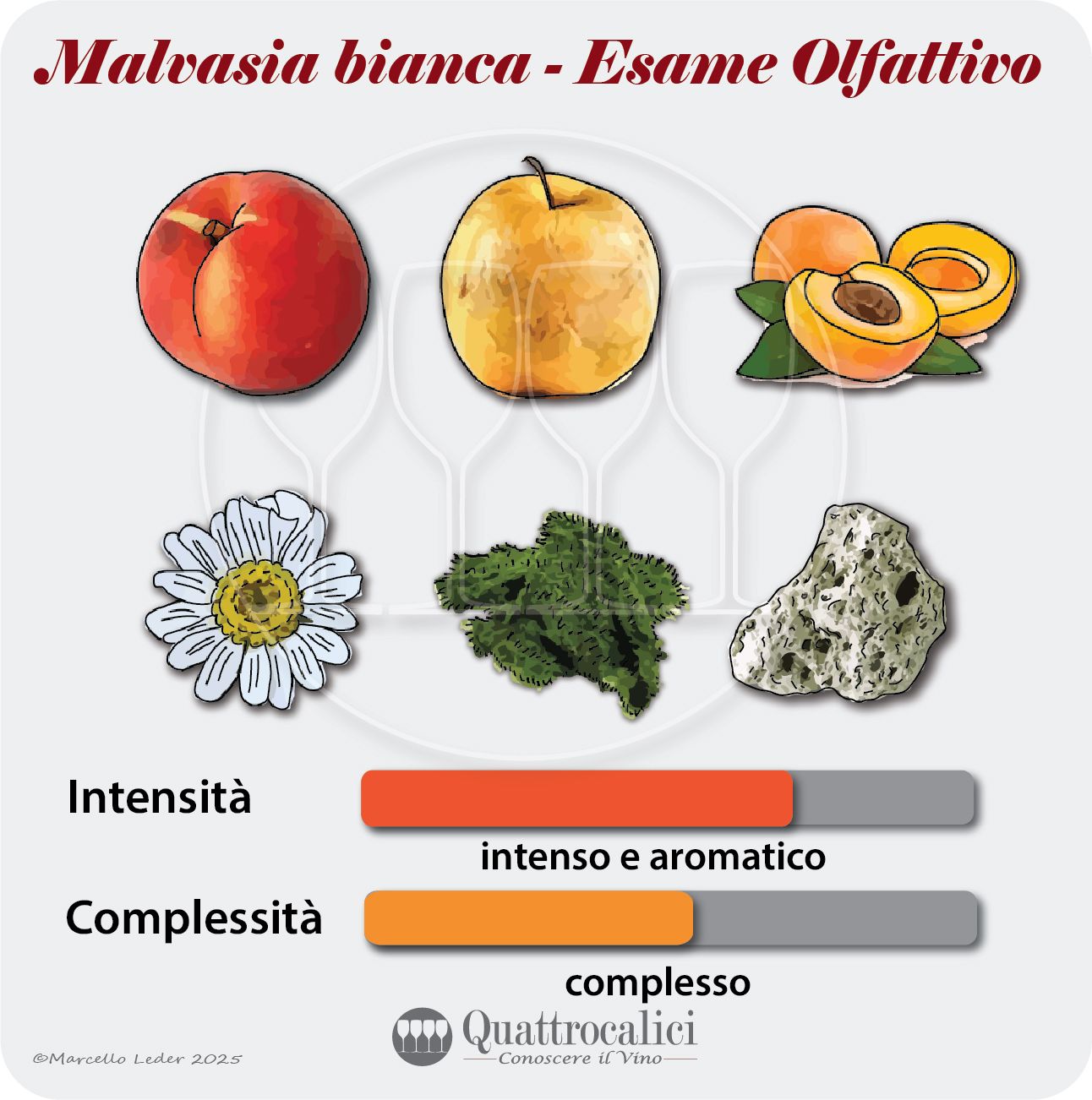 L'esame olfattivo dei vini Malvasia bianca