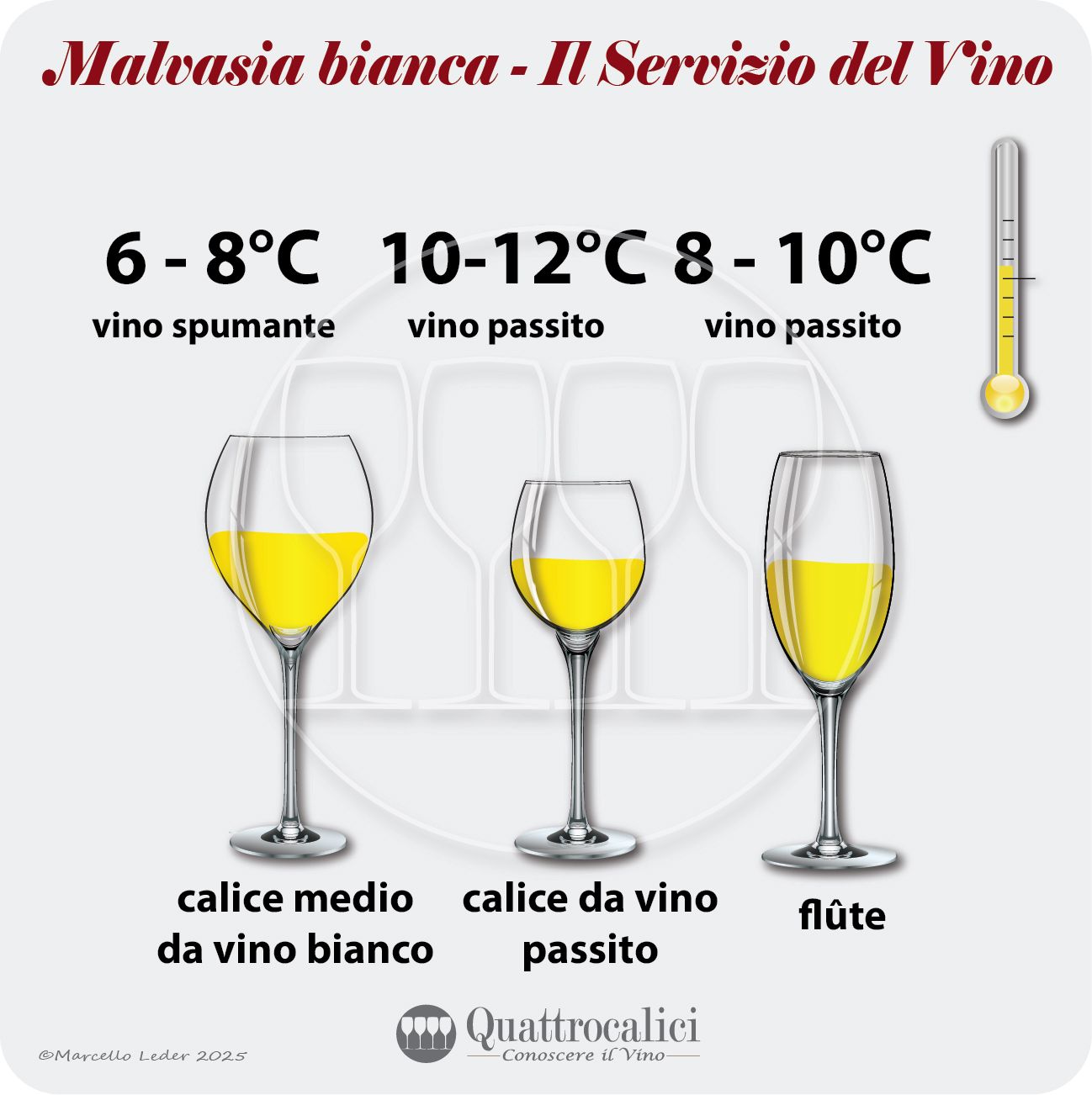 Il servizio dei vini Mlavasia bianca