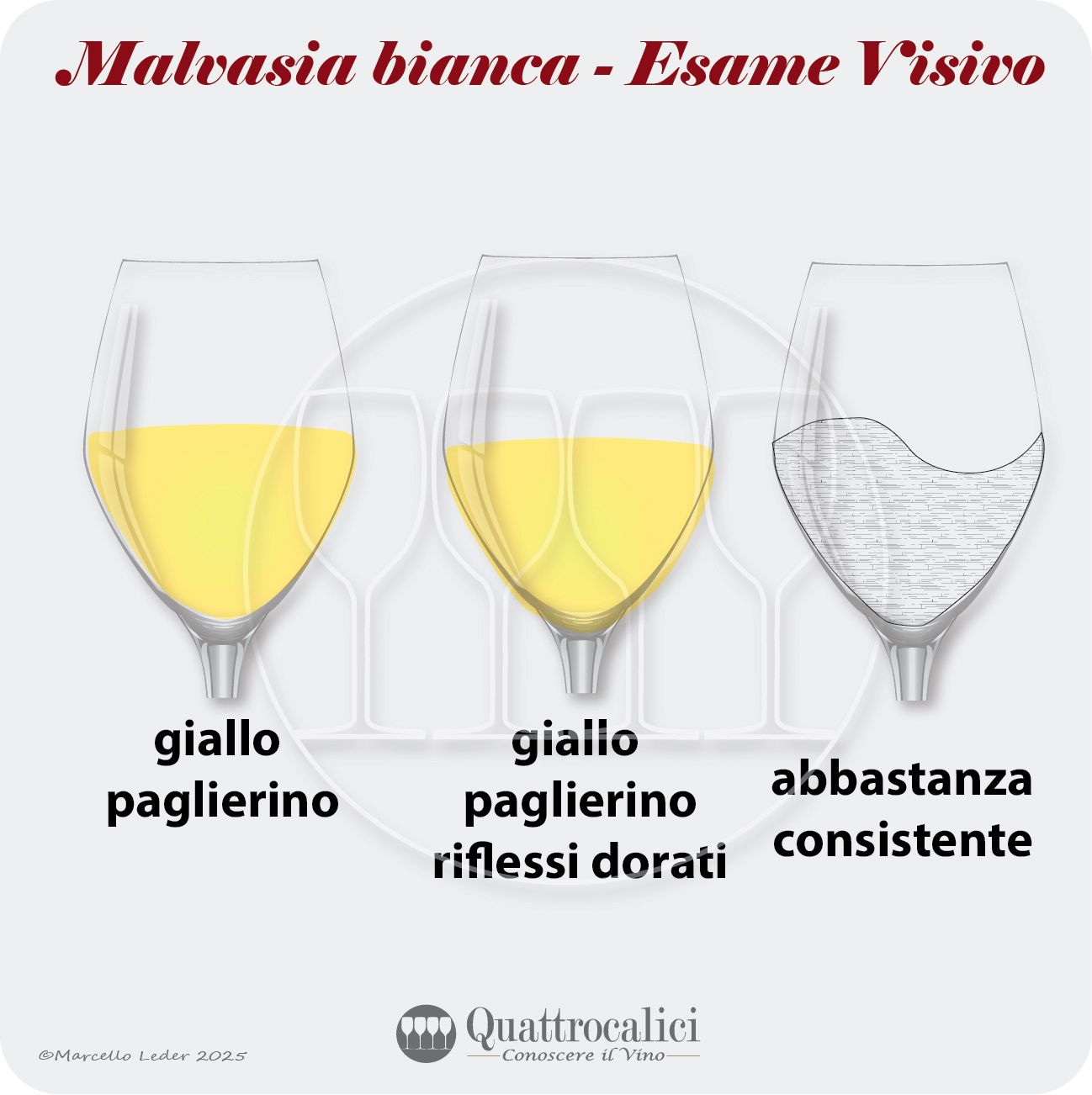 L'esame visivo dei vini Malvasia bianca