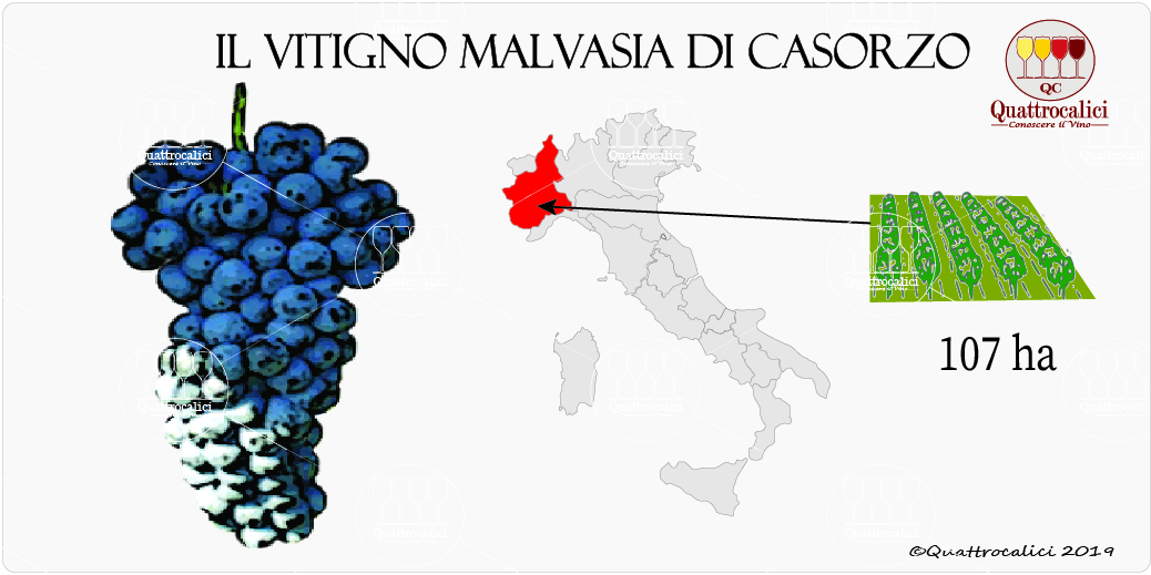 vitigno malvasia casorzo