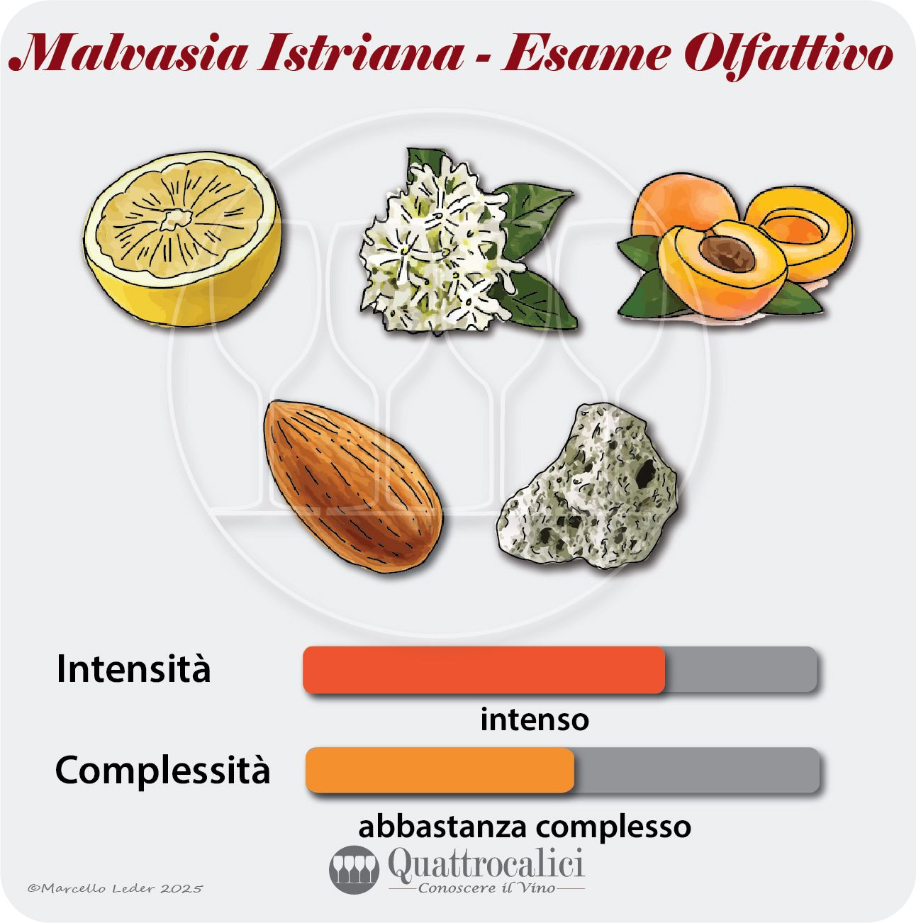 L'esame olfattivo dei vini Malvasia istriana