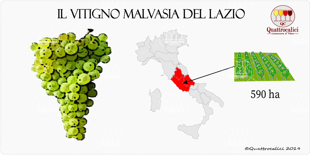 vitigno malvasia del lazio