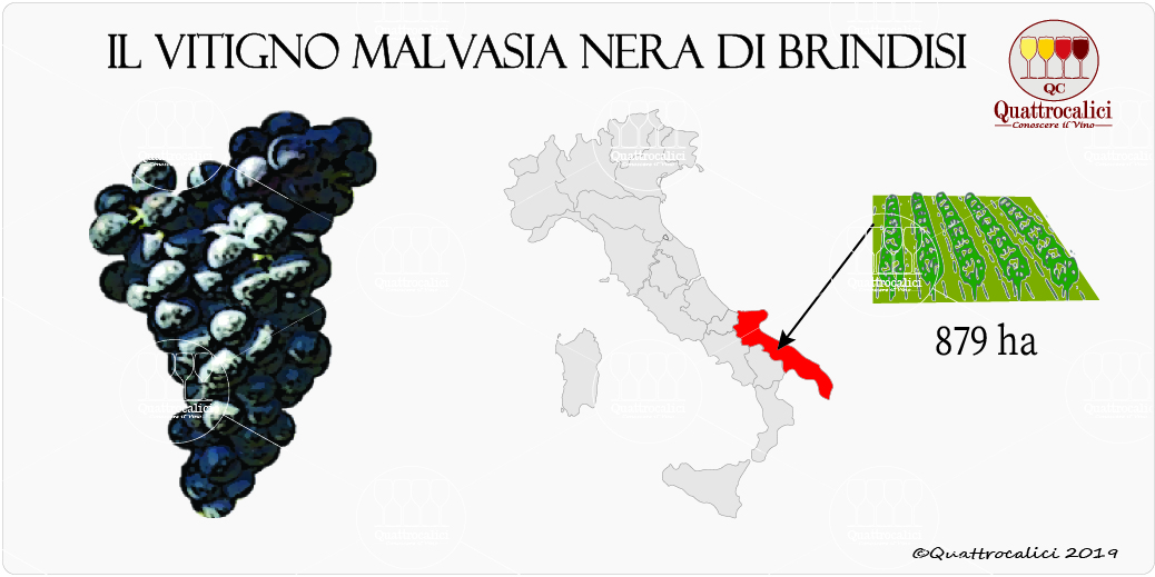 vitigno malvasia nera di brindisi