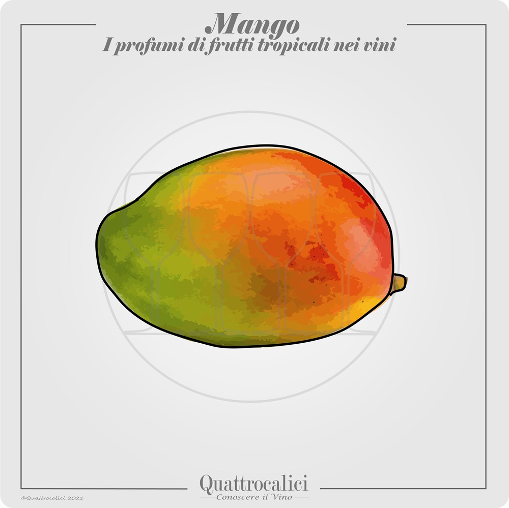 Il profumo di mango nei vini