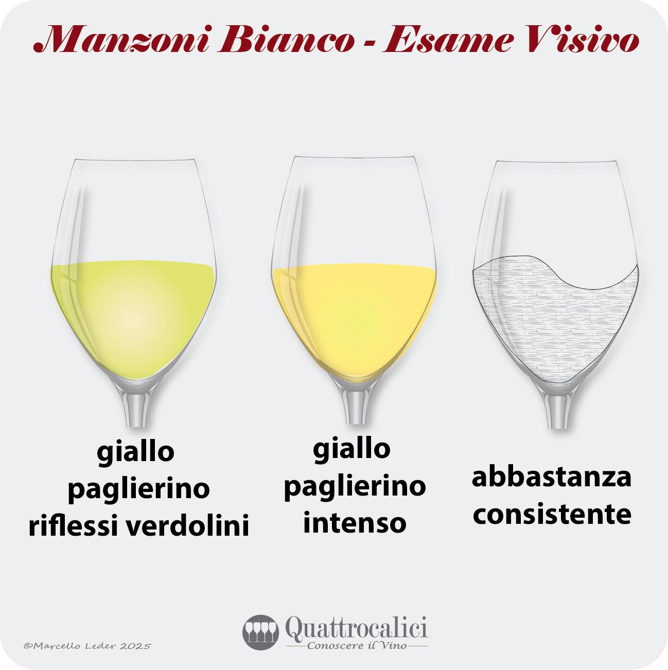 L'esame visivo dei vini Manzoni Bianco