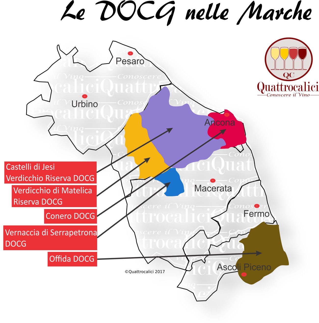 Le docg nelle Marche