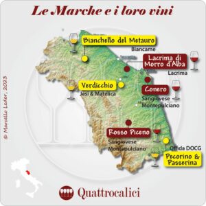 il vino nelle marche