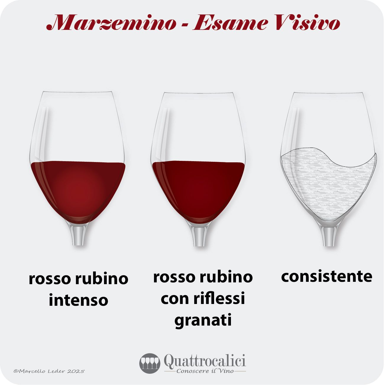 L'esame visivo dei vini Marzemino