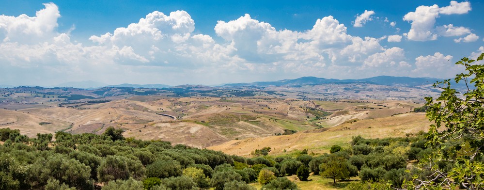 provincia matera vino