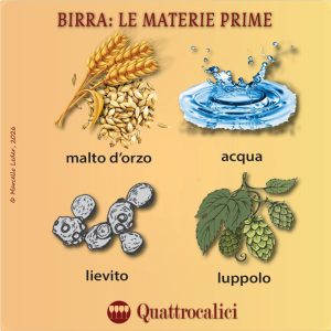 Le materie prime della birra