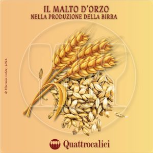 Il Malto d'orzo nella produzione della birra